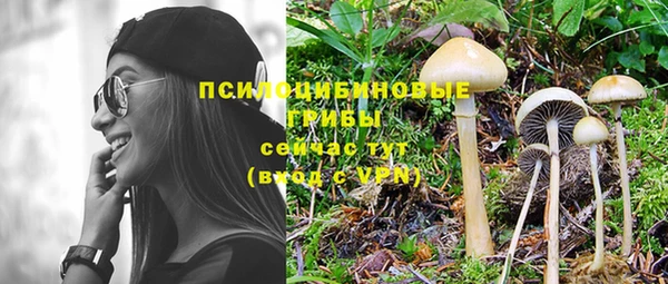 дурь Санкт-Петербург