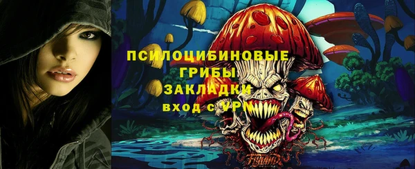 дурь Санкт-Петербург