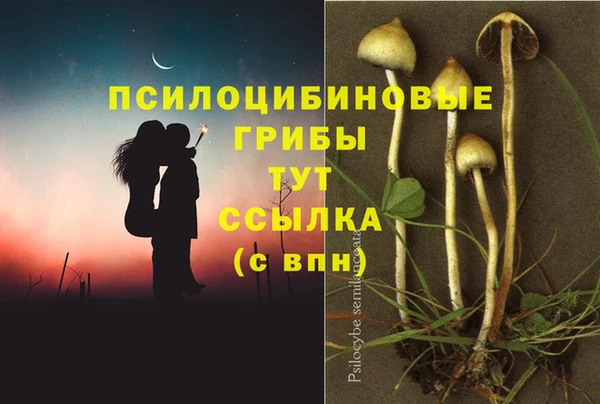 амфетамин Ессентукская