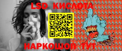 крисы Майкоп