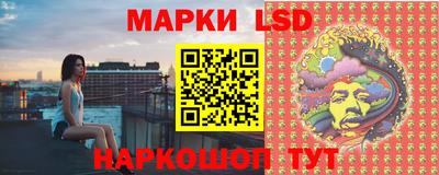 крисы Майкоп