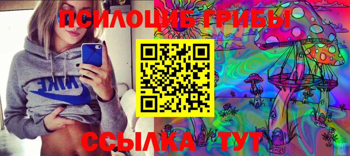 Псилоцибиновые грибы GOLDEN TEACHER Россия