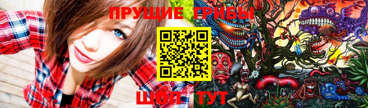 Псилоцибиновые грибы прущие грибы  Россия 