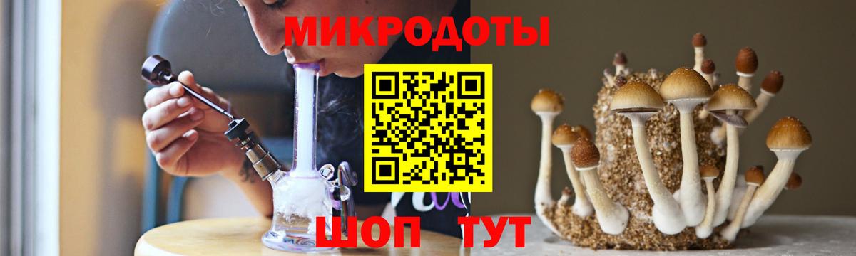Россия  где продают наркотики  Вход с VPN  Псилоцибиновые грибы Cubensis 