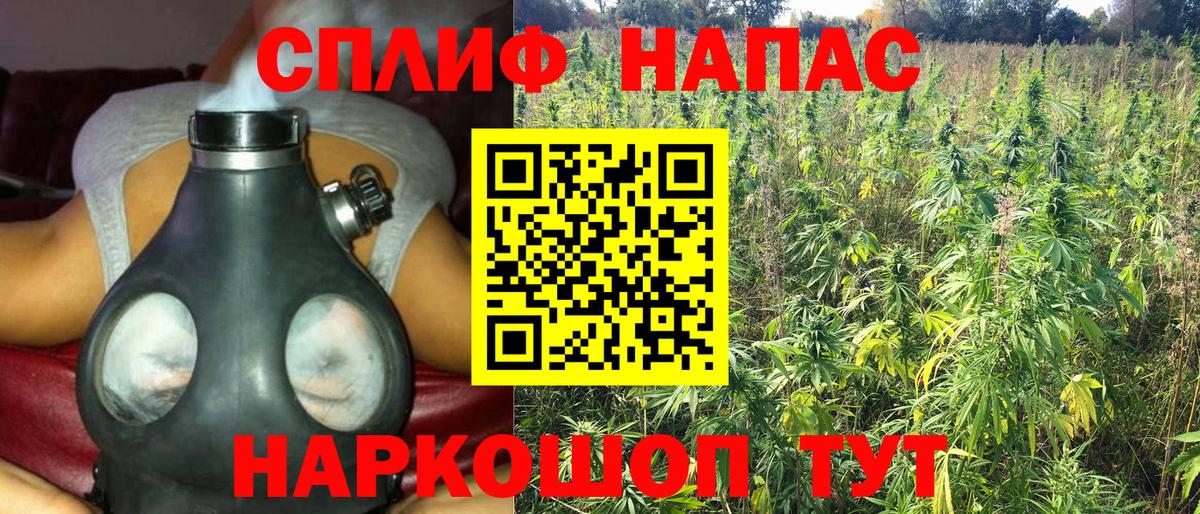 Каннабис VHQ Россия